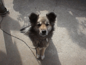 �Q��ځ@�{�X